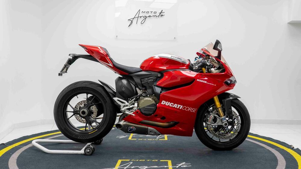 Ducati 1199 Panigale R ABS (2013 - 17) (2)