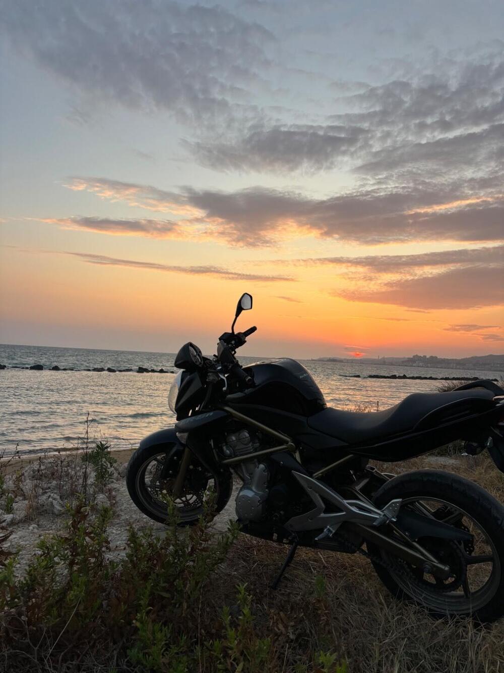 Kawasaki ER-6N (2006 - 09)