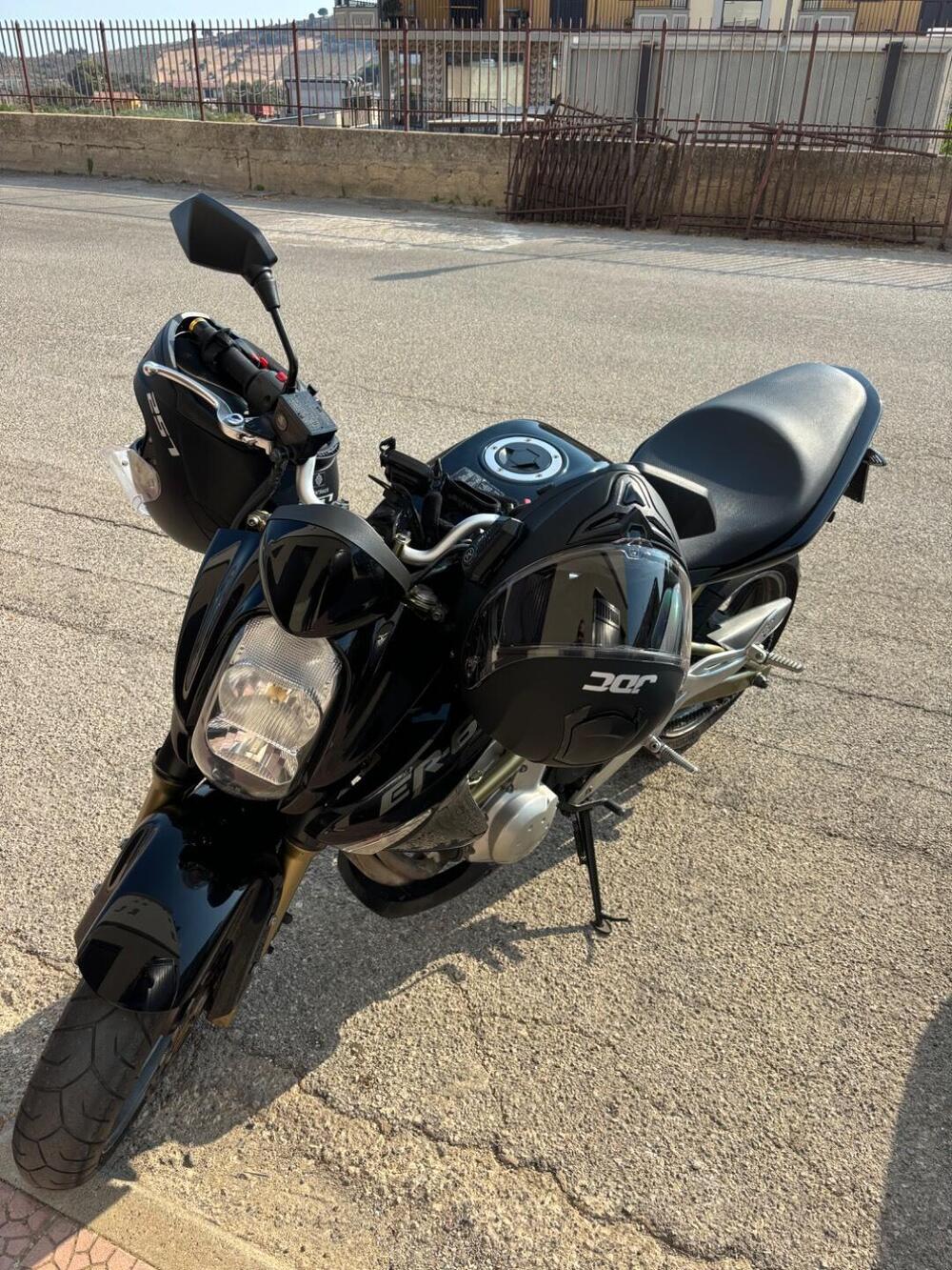 Kawasaki ER-6N (2006 - 09) (2)