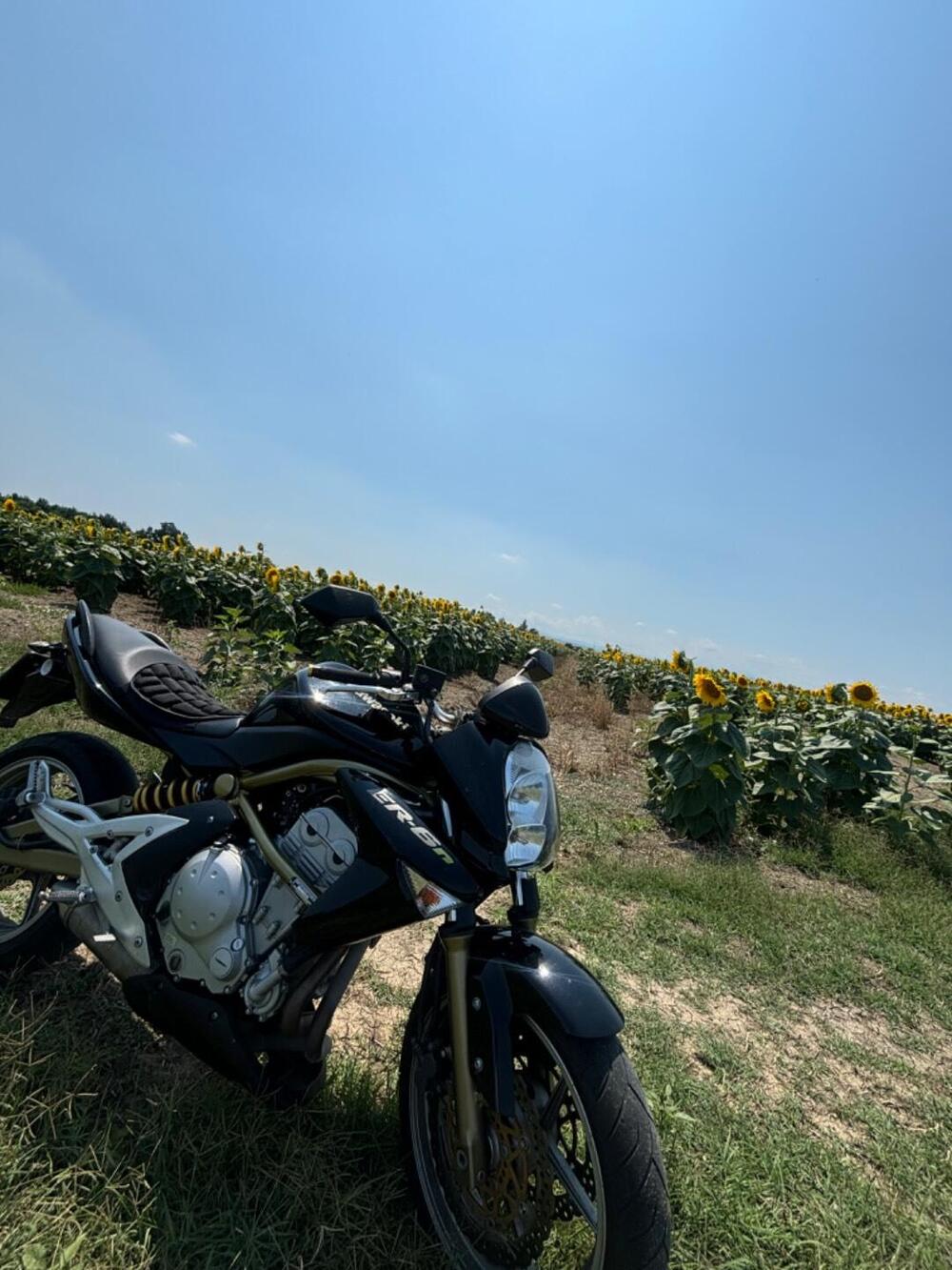 Kawasaki ER-6N (2006 - 09) (3)