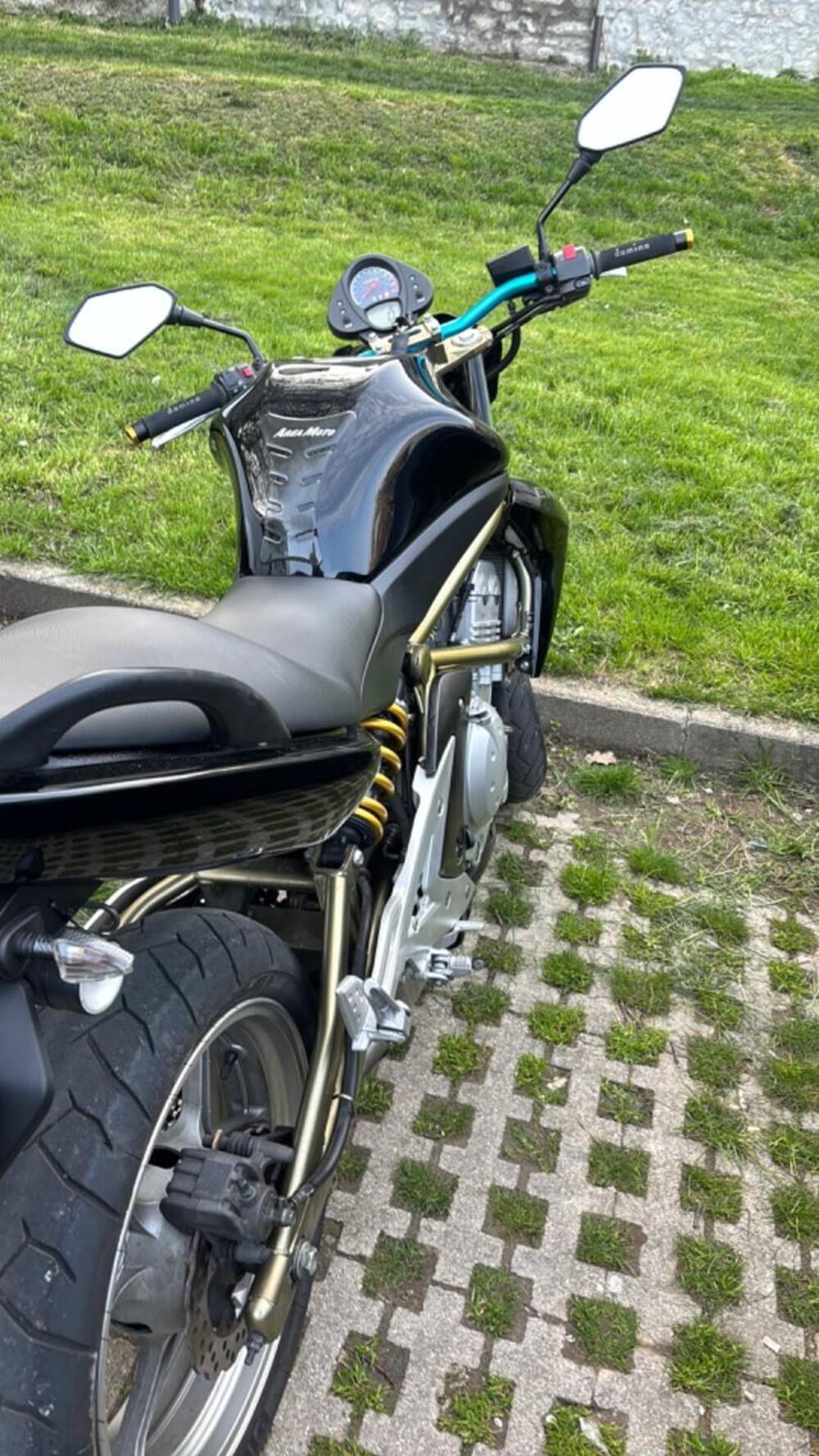 Kawasaki ER-6N (2006 - 09) (5)