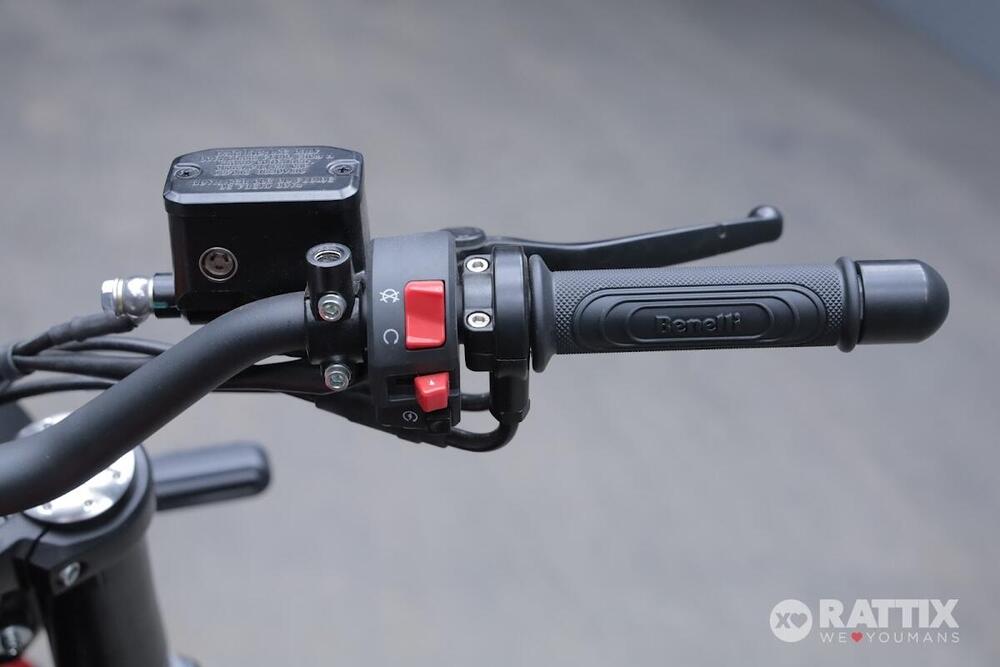 Benelli Leoncino 500 (2021 - 25) (12)