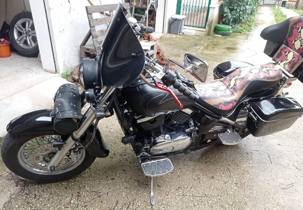 Kawasaki VN 800 Classic (1996 - 00) (3)