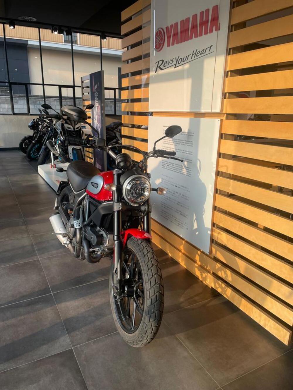 Ducati Scrambler 800 Icon (2015 - 16) (2)