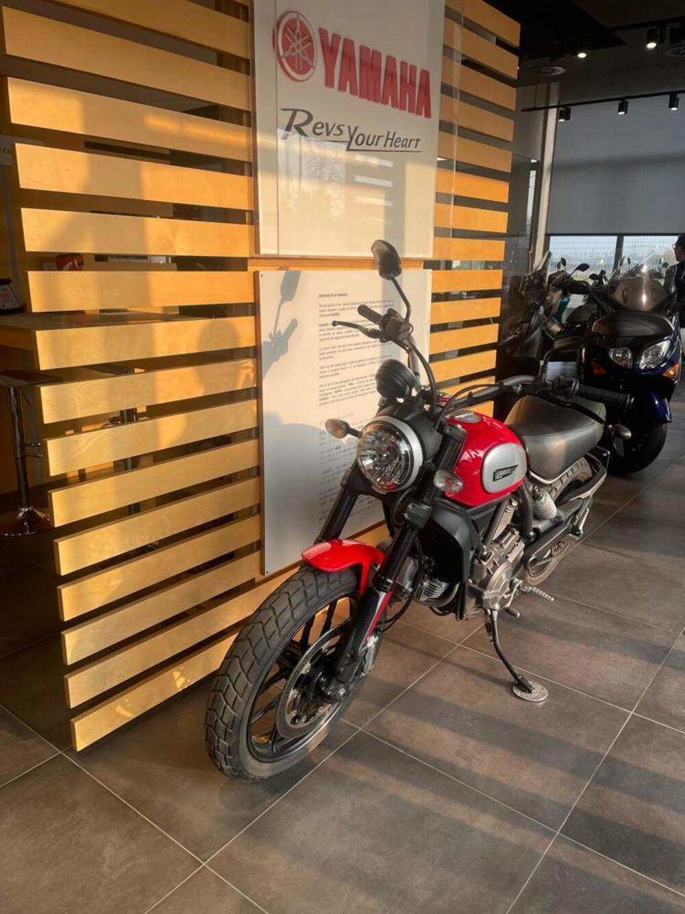 Ducati Scrambler 800 Icon (2015 - 16) (5)