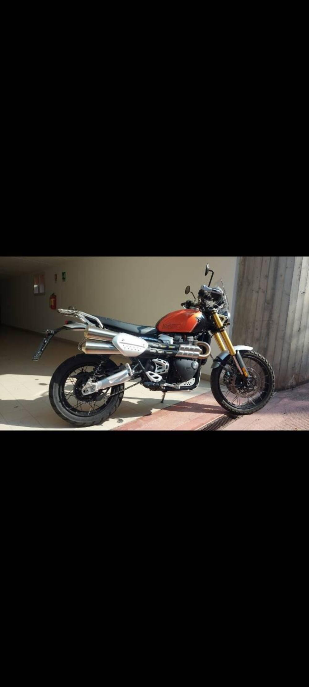 Triumph Scrambler 1200 XE (2024 - 25) (3)