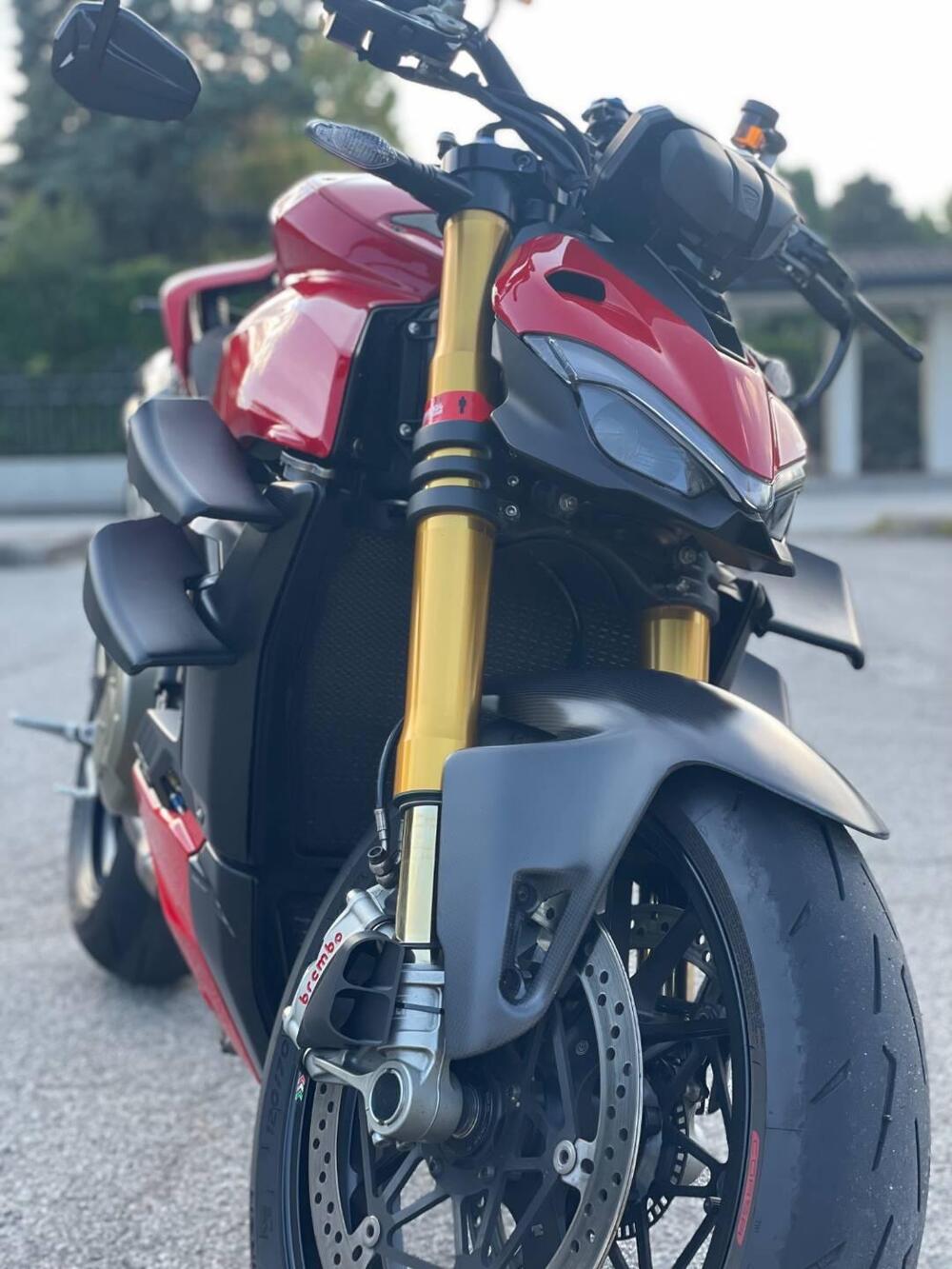 Ducati Streetfighter V4 1100 S (2020) (6)