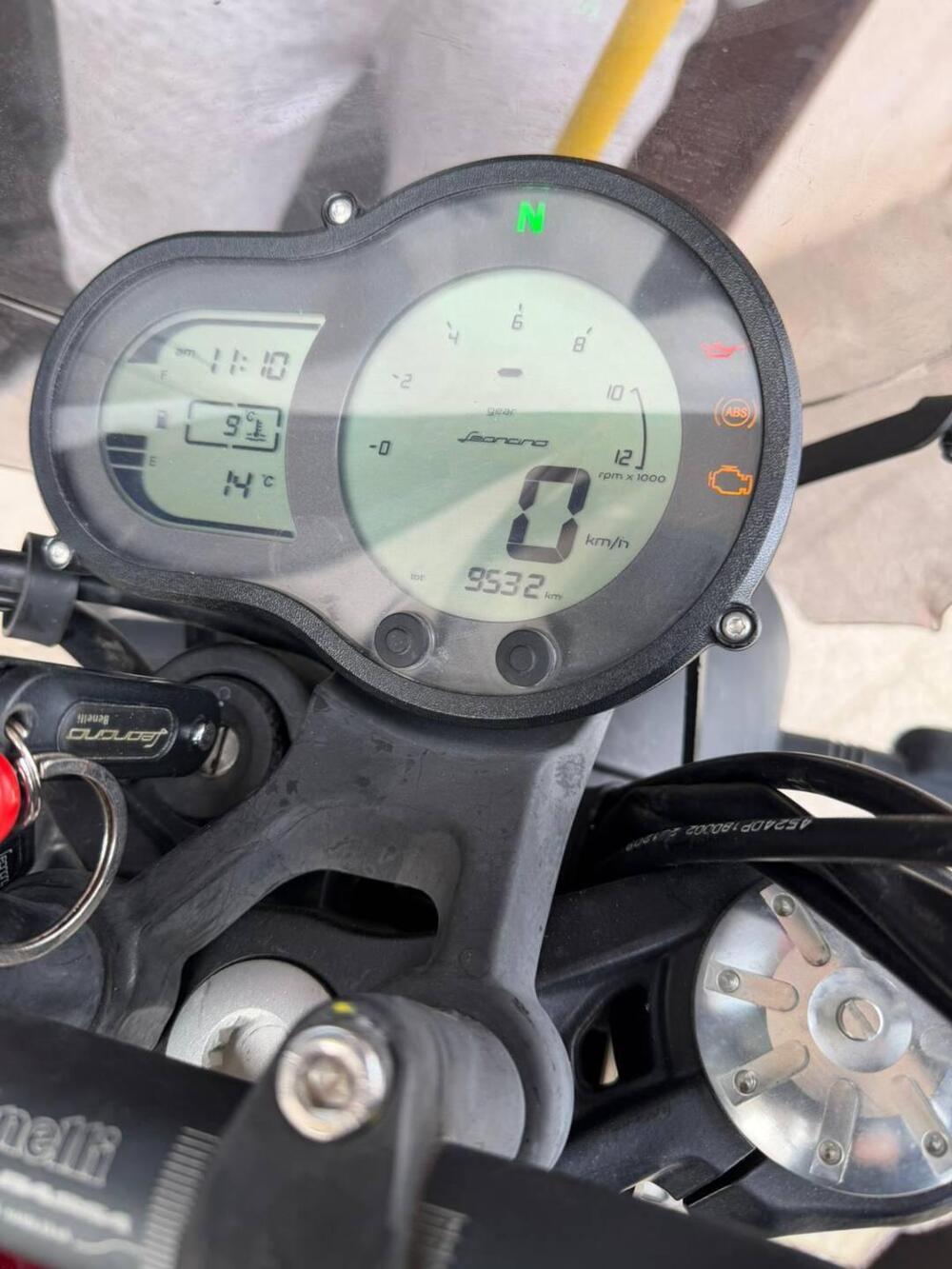 Benelli Leoncino 500 (2021 - 25) (3)