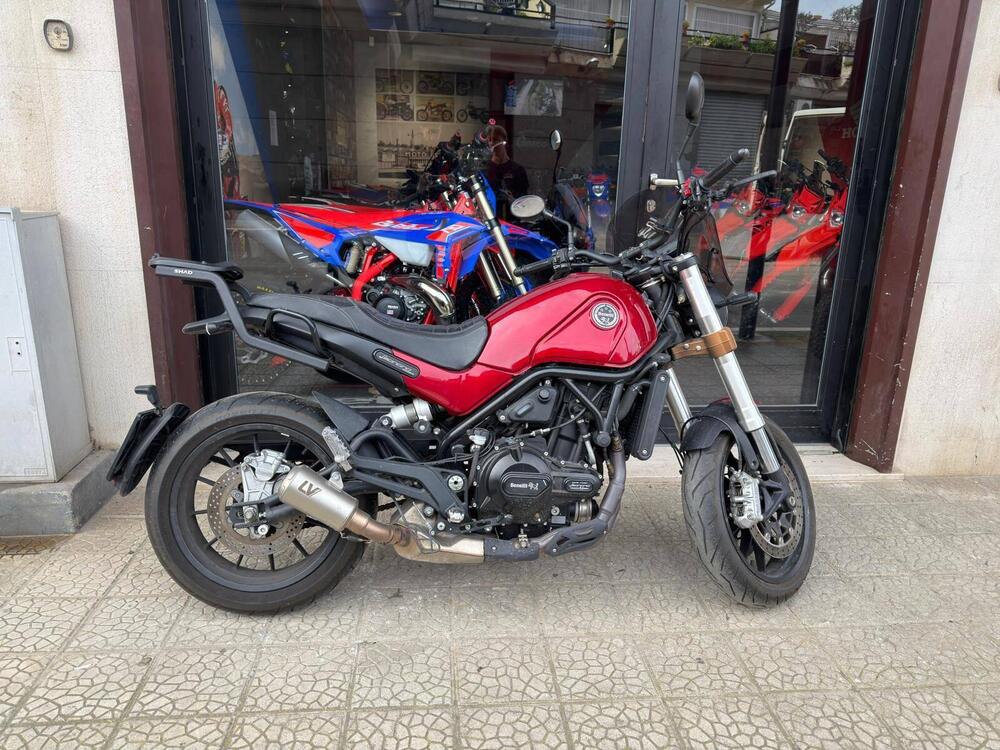 Benelli Leoncino 500 (2021 - 25)