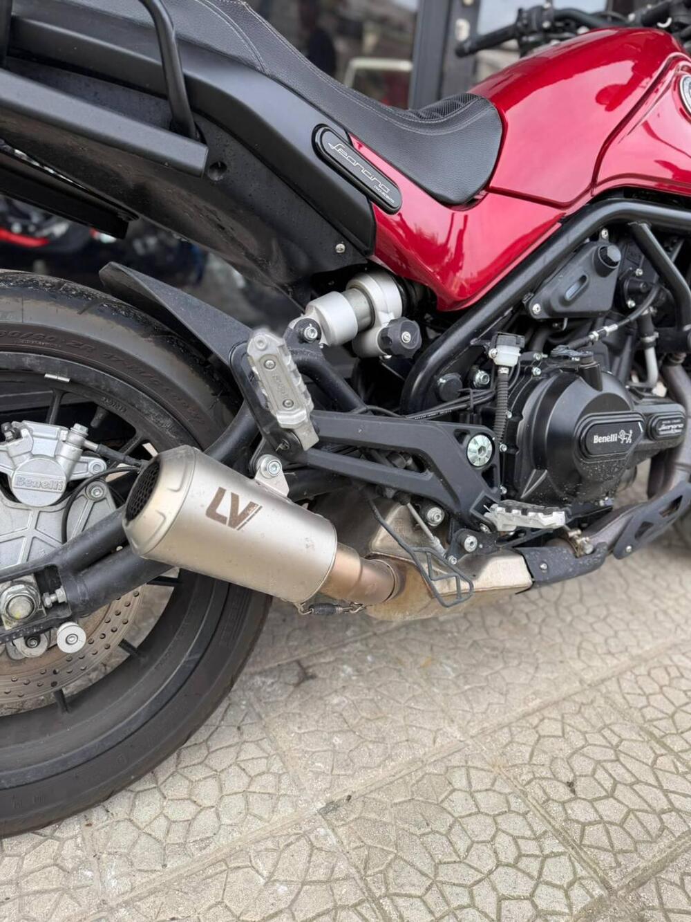 Benelli Leoncino 500 (2021 - 25) (6)