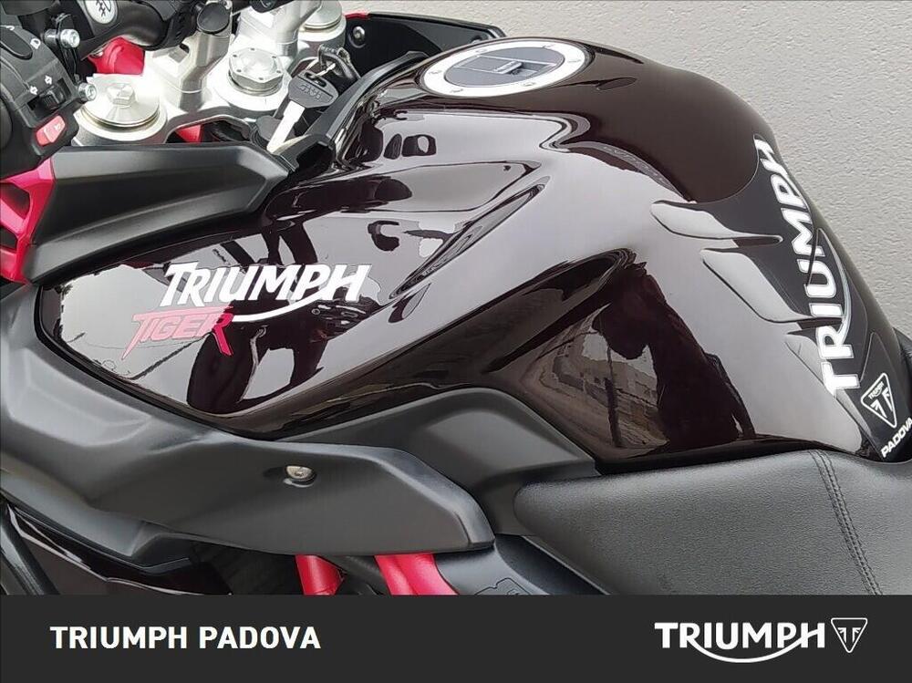 Triumph Tiger 800 XC SE ABS (2014) (9)