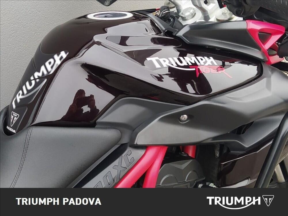 Triumph Tiger 800 XC SE ABS (2014) (4)