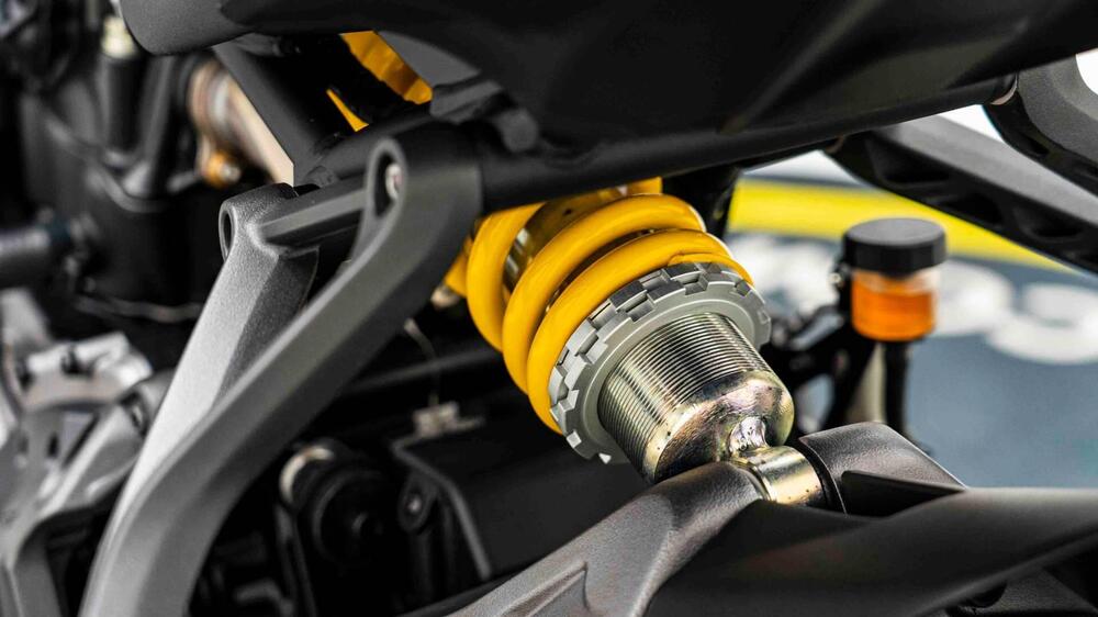 Ducati Monster 821 Stealth (2019 - 20) (14)