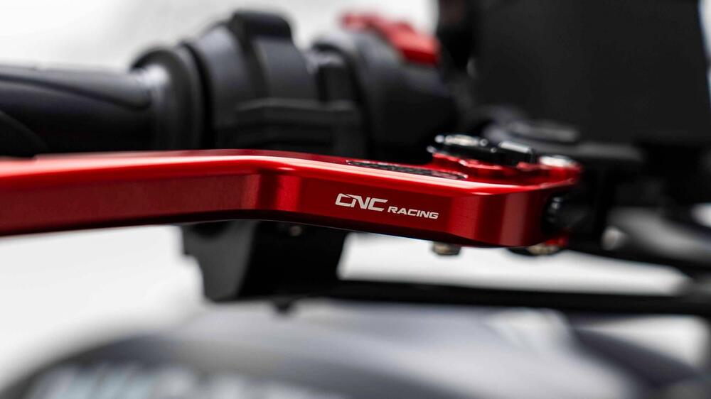 Ducati Monster 821 Stealth (2019 - 20) (16)