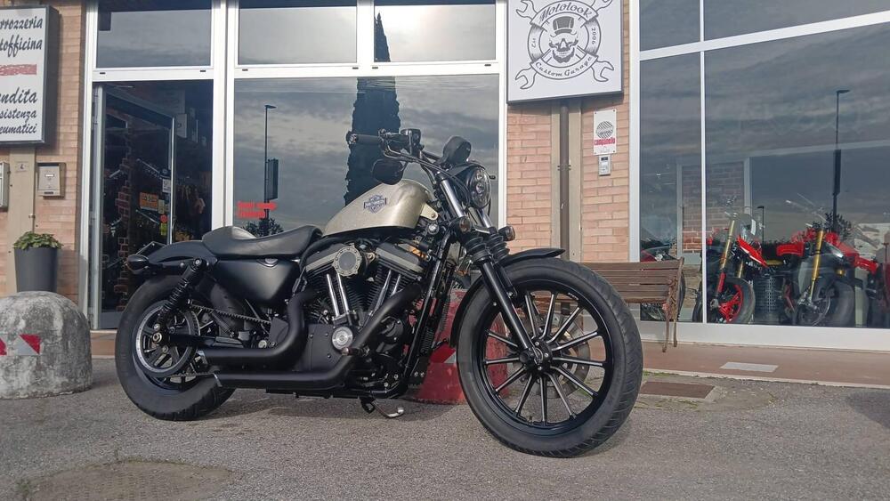 Harley-Davidson 883 Iron (2009 - 11) - XL 883N (2)