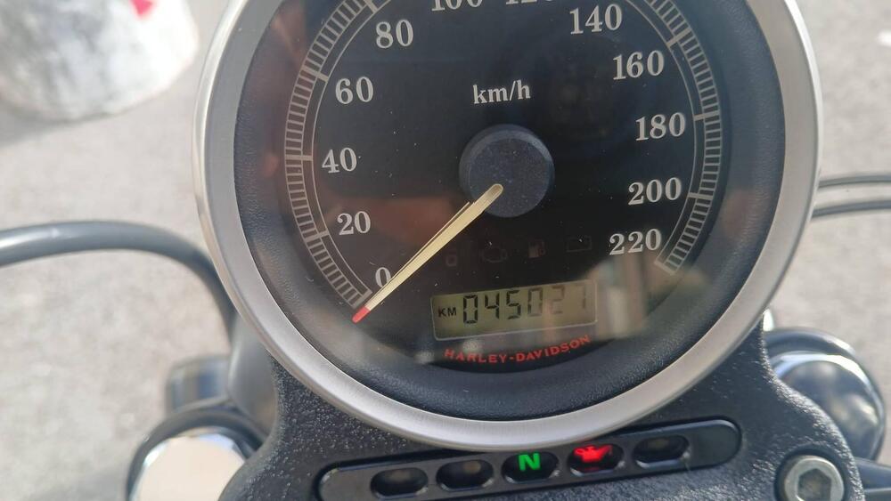 Harley-Davidson 883 Iron (2009 - 11) - XL 883N (4)