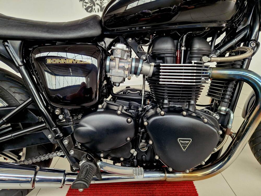 Triumph Bonneville SE (2009 - 13) (14)