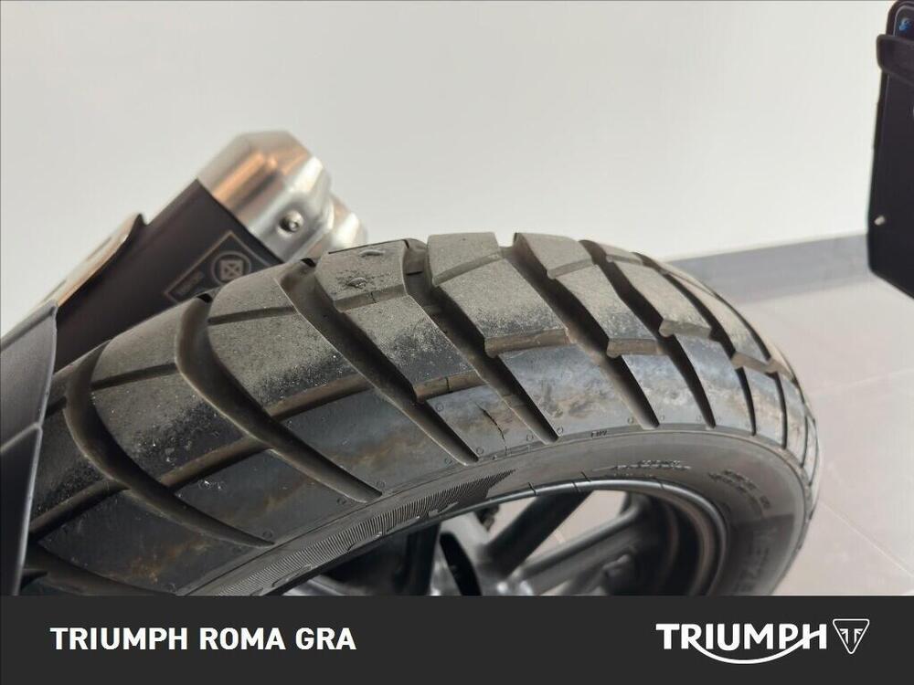 Triumph Scrambler 400 X (2024 - 26) (15)