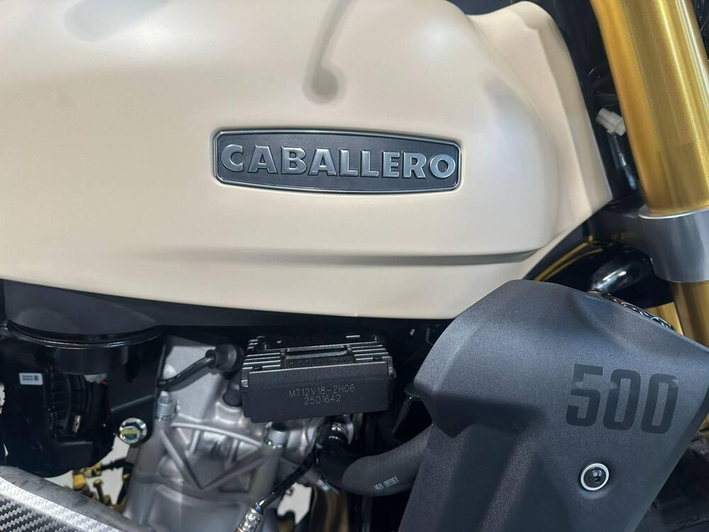 Fantic Motor Caballero 500 Rally (2025 - 26) (9)