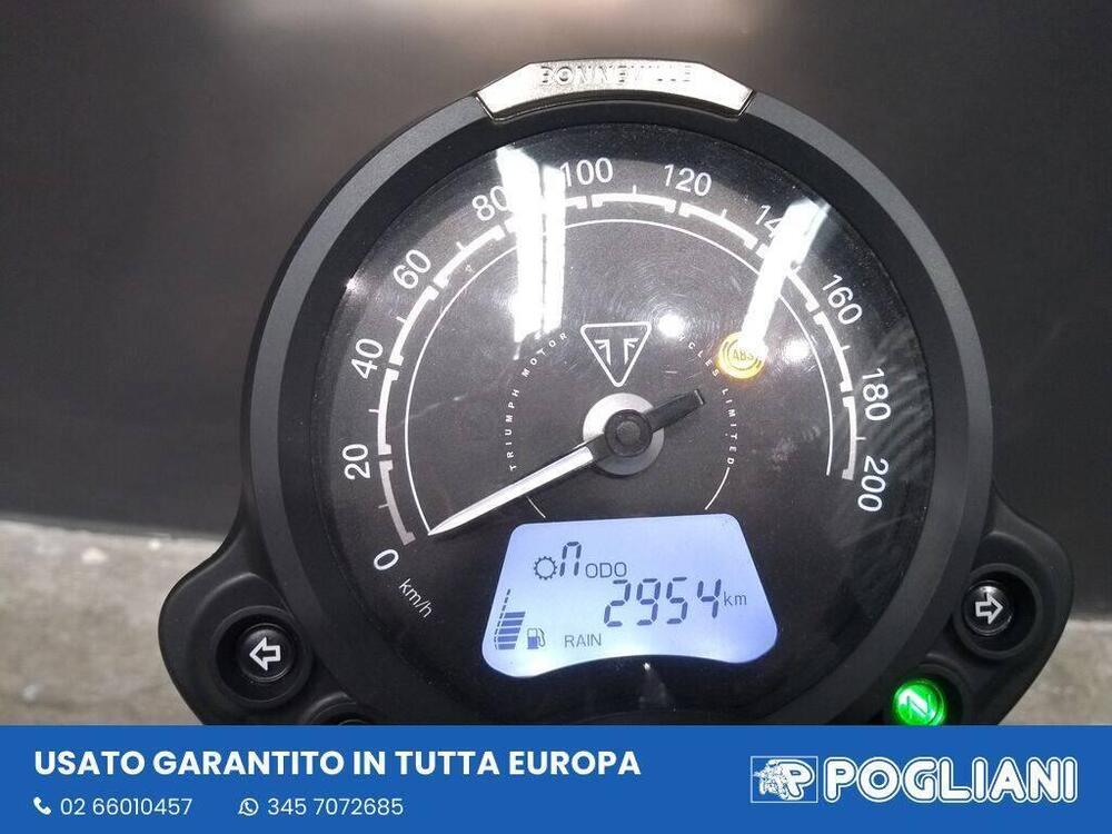 Triumph Speed Twin 900 (2023 - 24) (8)
