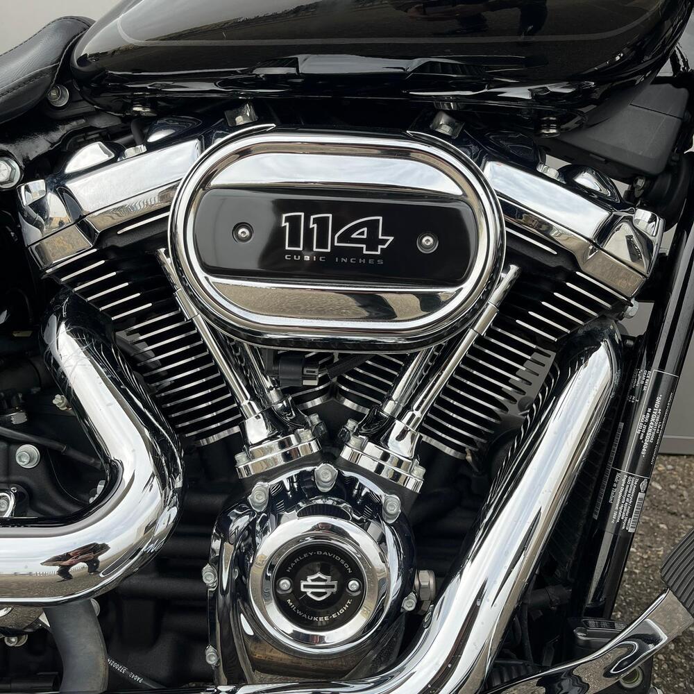 Harley-Davidson Fat Boy 114 (2021 - 24) (6)