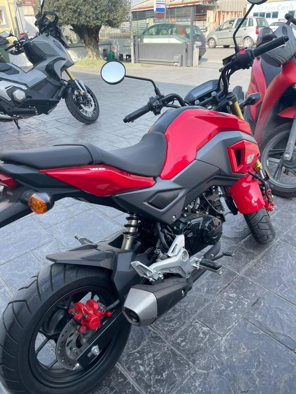 Honda MSX 125 (2018 - 20) (2)