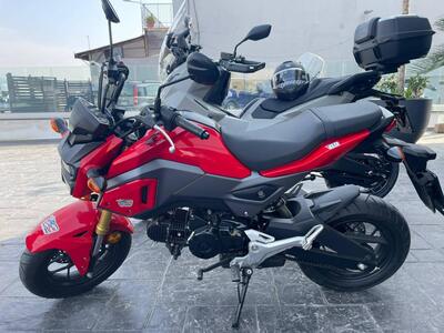 Honda MSX 125 (2018 - 20) usata