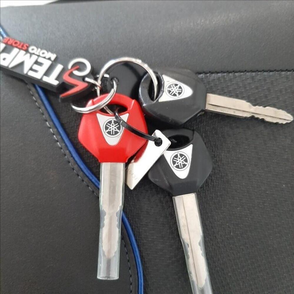 Yamaha MT-09 (2017 - 20) (14)