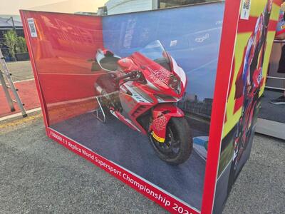 MV Agusta F3 800 RR (2022 - 25) usata