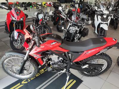 Betamotor Alp 4.0 (2024 - 26) usata