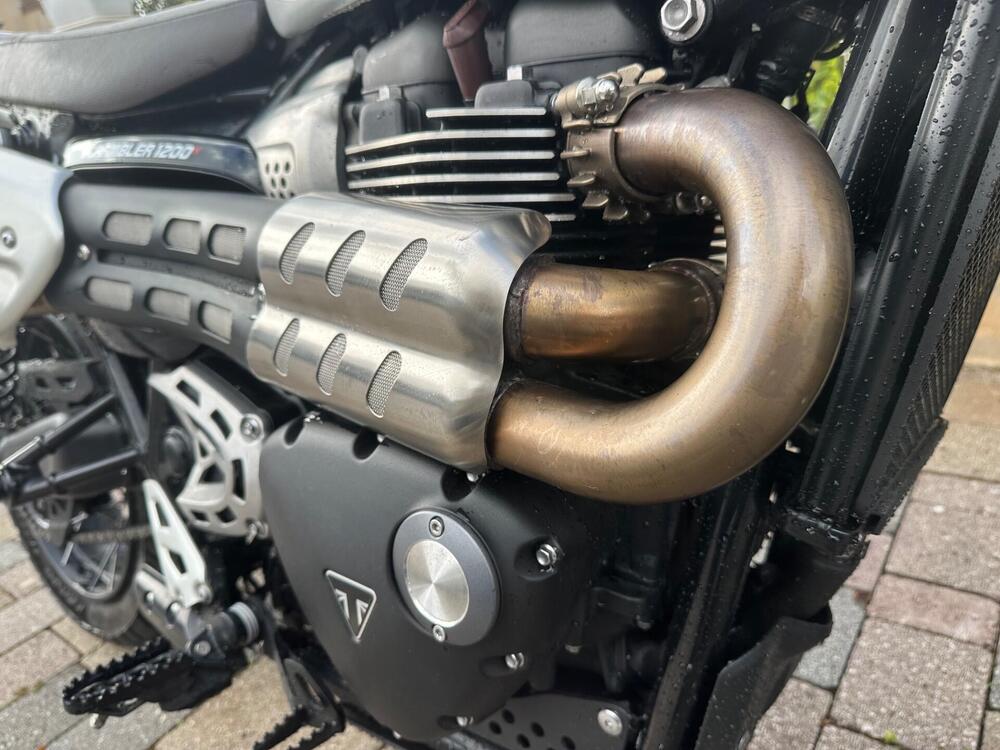 Triumph Scrambler 1200 X (2024 - 26) (8)