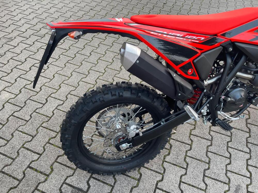 Betamotor RR 125 4T Enduro T (2025 - 26) (4)