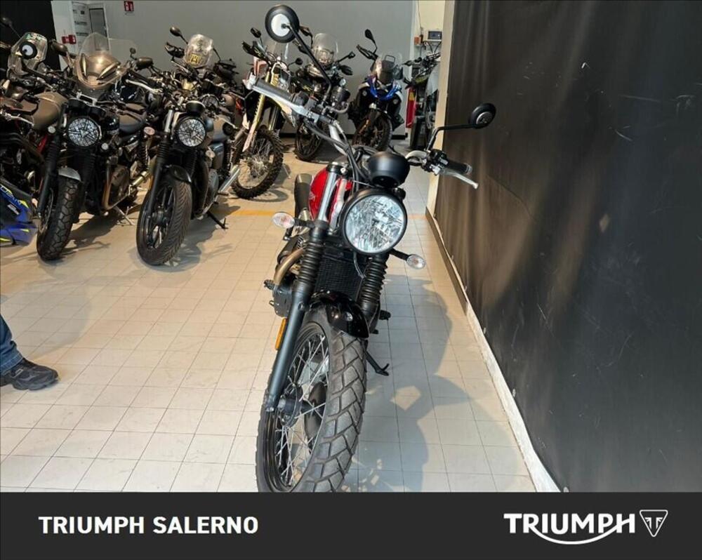 Triumph Scrambler 900 (2023 - 25) (3)