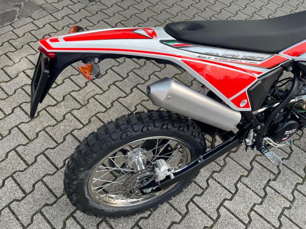 Betamotor RR 50 Enduro (2021 - 26) (6)