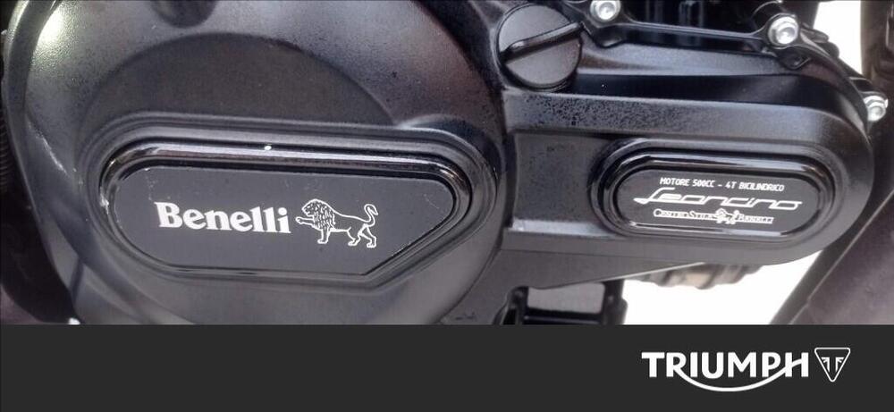 Benelli Leoncino 500 ABS (2017 - 20) (6)