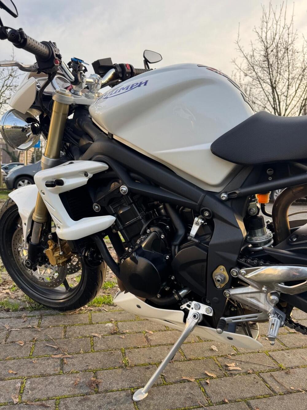 Triumph Street Triple R (2009 - 12) (14)