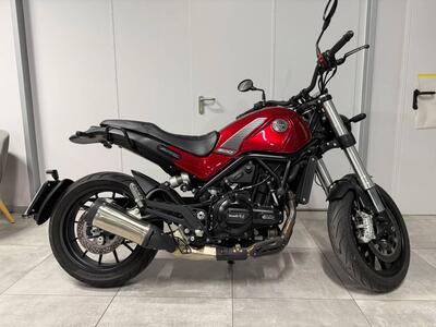 Benelli Leoncino 500 (2021 - 25) usata