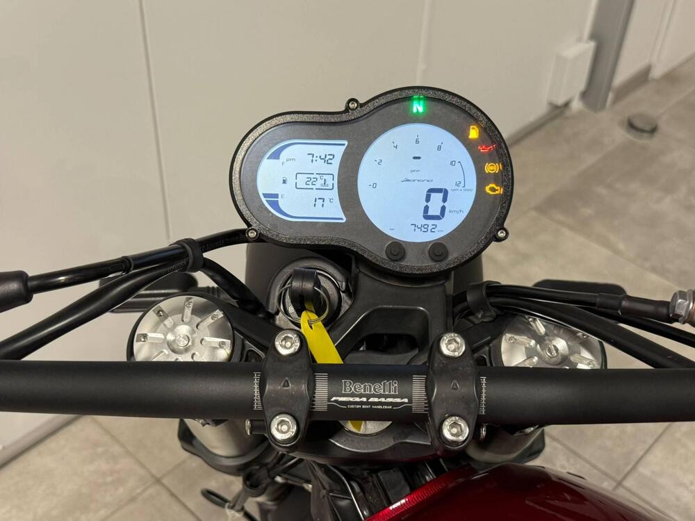 Benelli Leoncino 500 (2021 - 25) (4)