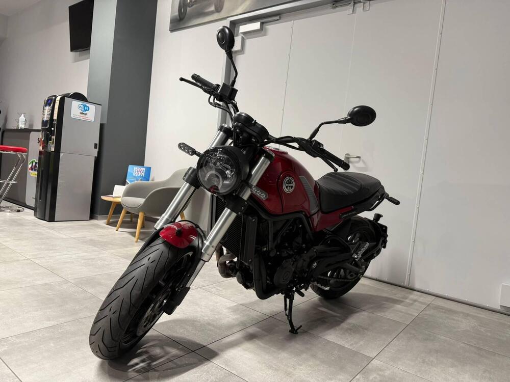 Benelli Leoncino 500 (2021 - 25) (6)