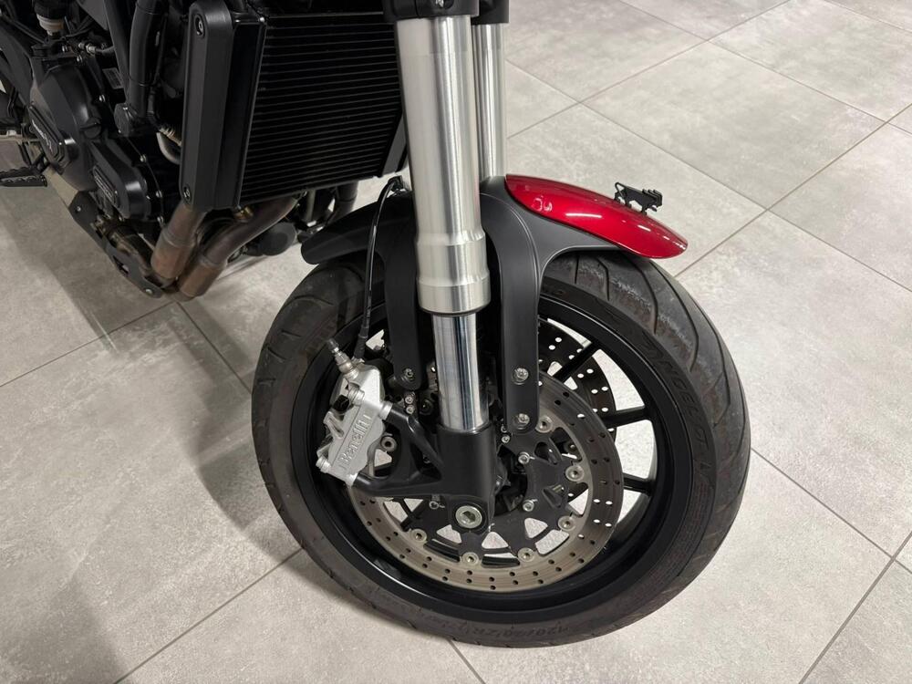 Benelli Leoncino 500 (2021 - 25) (10)