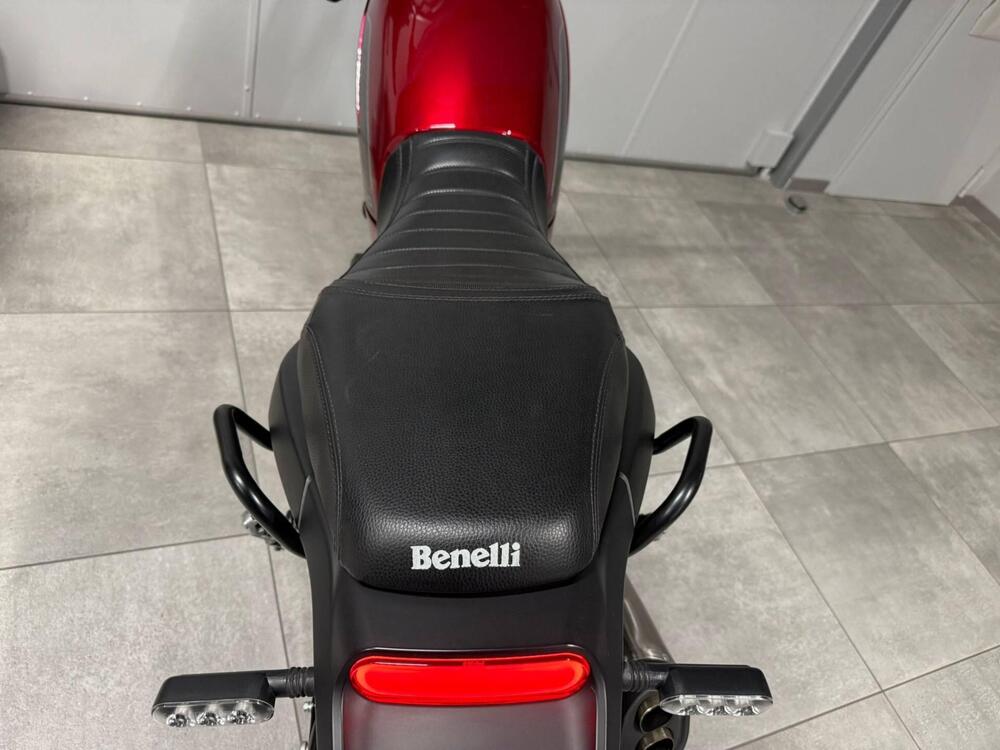 Benelli Leoncino 500 (2021 - 25) (11)
