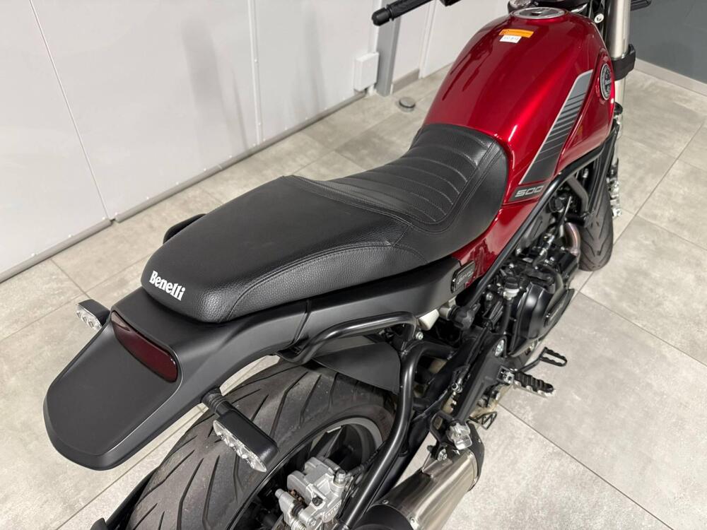 Benelli Leoncino 500 (2021 - 25) (12)