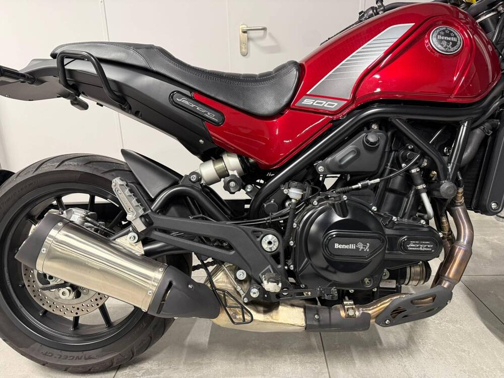 Benelli Leoncino 500 (2021 - 25) (13)