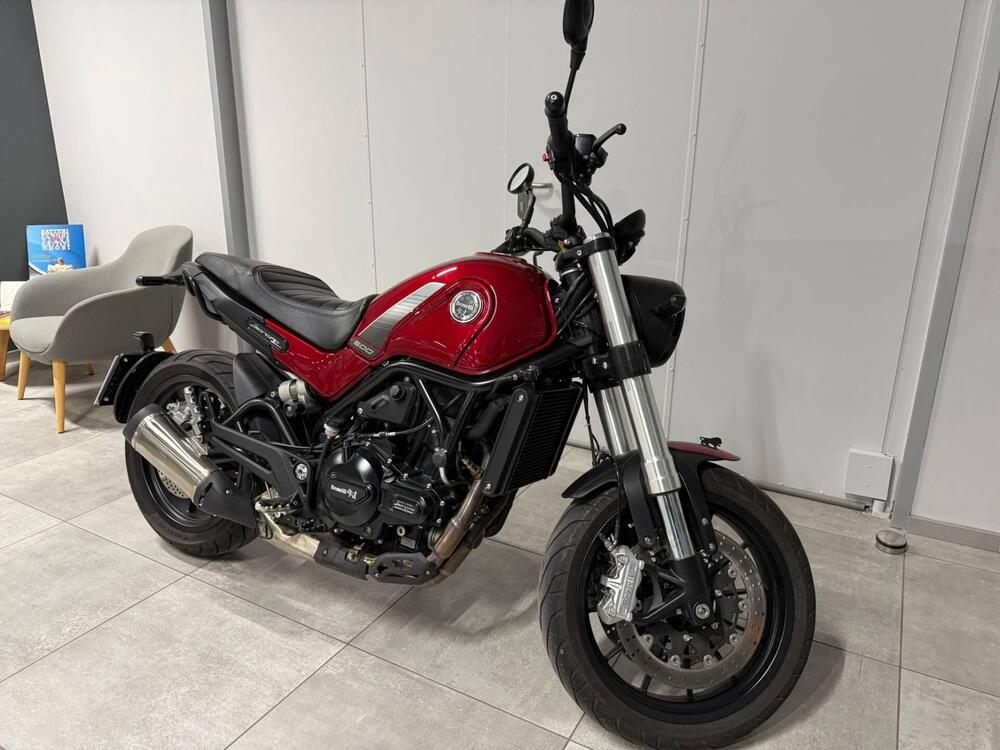 Benelli Leoncino 500 (2021 - 25) (17)