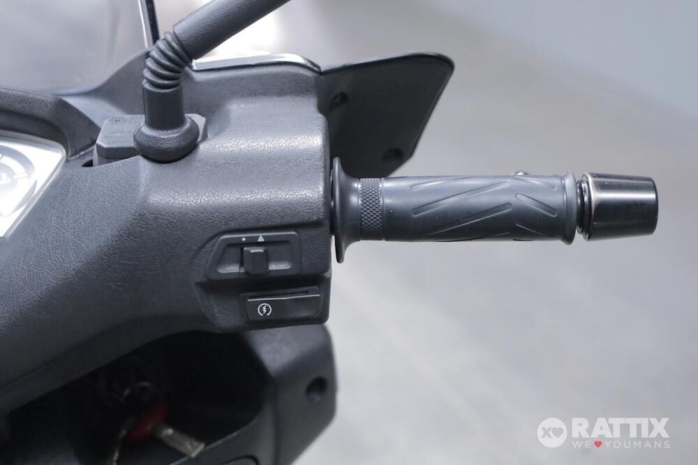 Yamaha X-Max 250 (2010 - 13) (12)