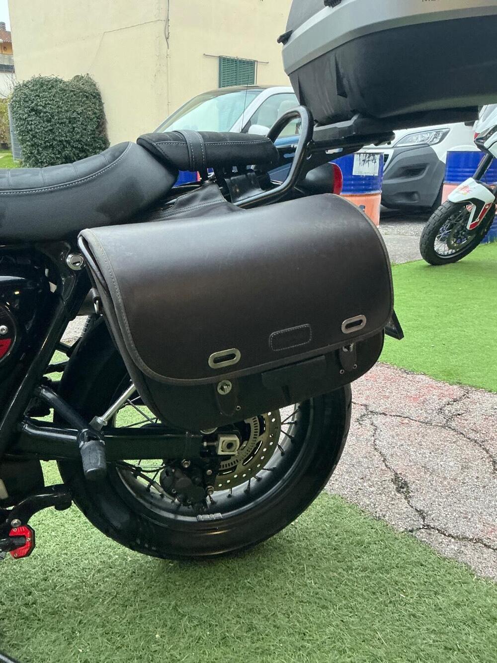 Triumph Street Scrambler 900 (2019 - 20) (11)