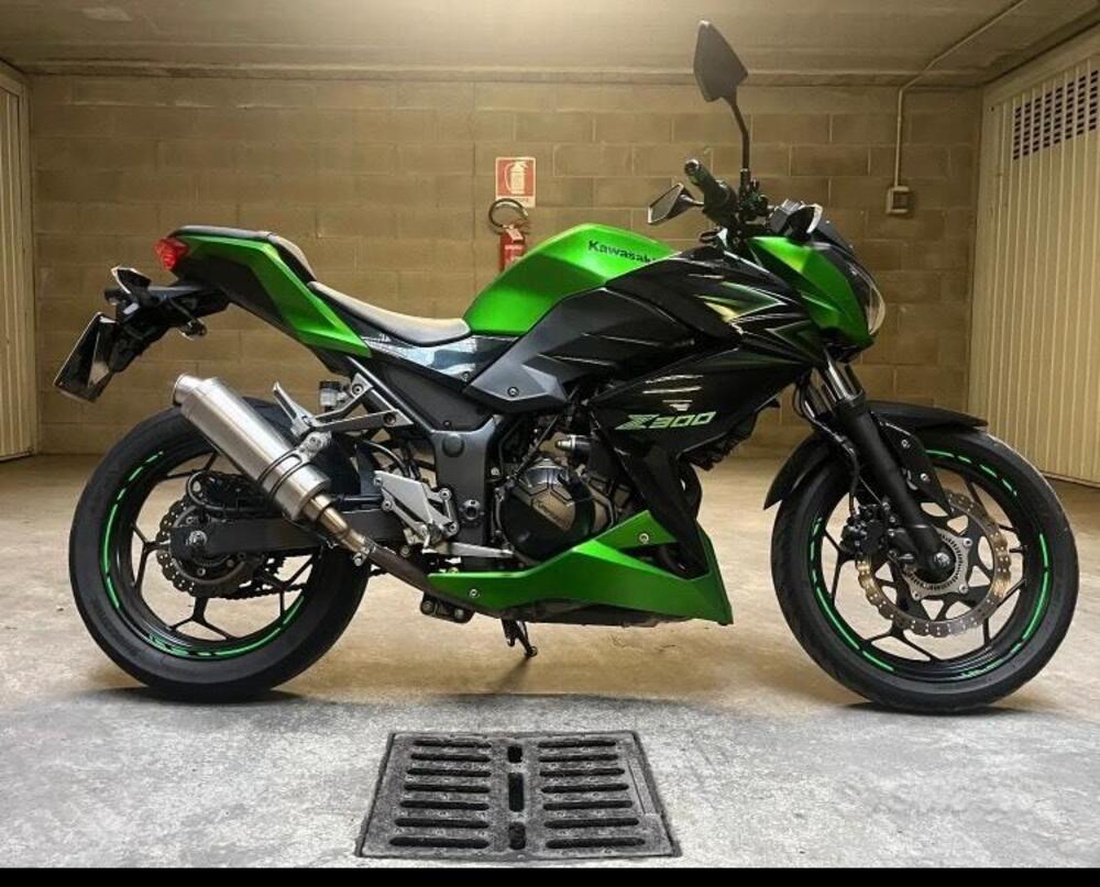 Kawasaki Z 300 ABS (2015 - 16) (5)
