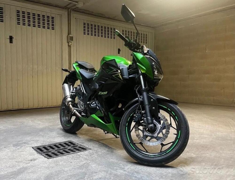 Kawasaki Z 300 ABS (2015 - 16) (6)
