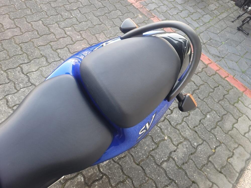 Suzuki SV 650 (1999 - 02) (9)