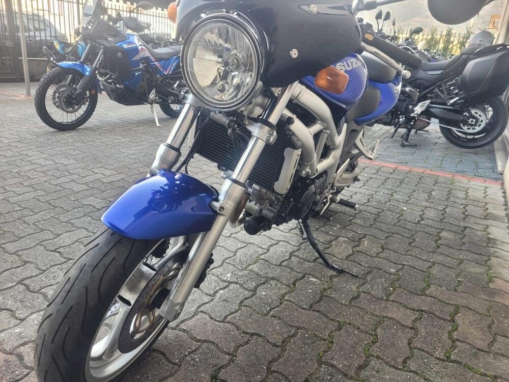 Suzuki SV 650 (1999 - 02) (6)